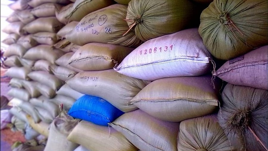 Representative Image. Credit: Pixabay Photo