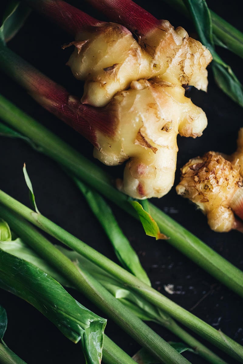A fresh ginger plant