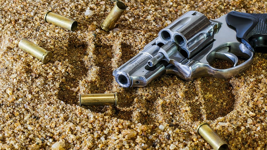 Representative image. Credit: Pixabay Photo