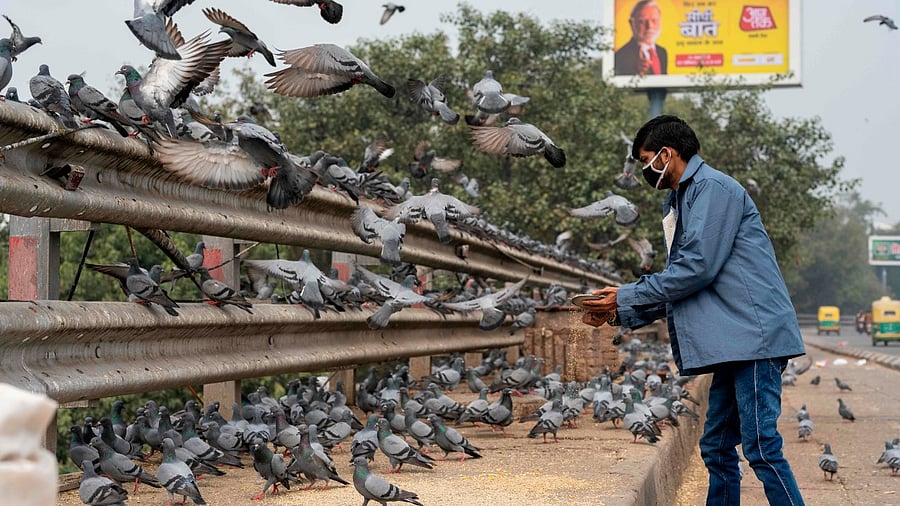 Representative Image. Credit: AFP File Photo