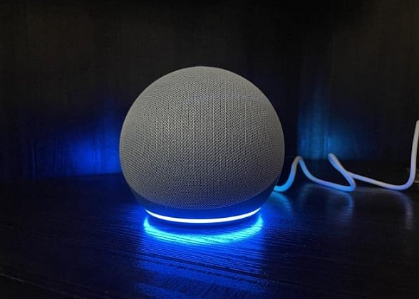 Amazon Echo Dot 4th Gen. DH Photo/KVN Rohit