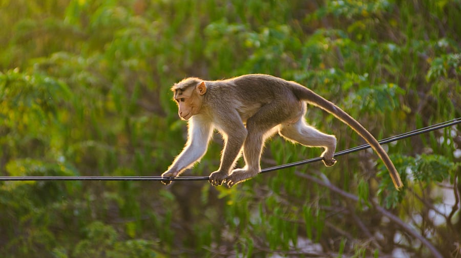 Representative image: iStock Photo