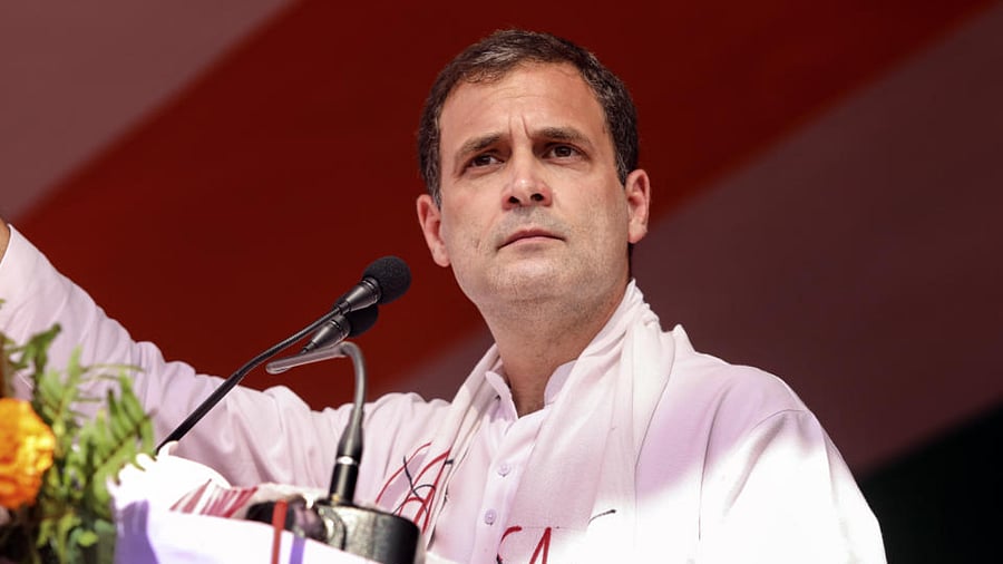 Former Congress President Rahul Gandhi. Credit: PTI Photo