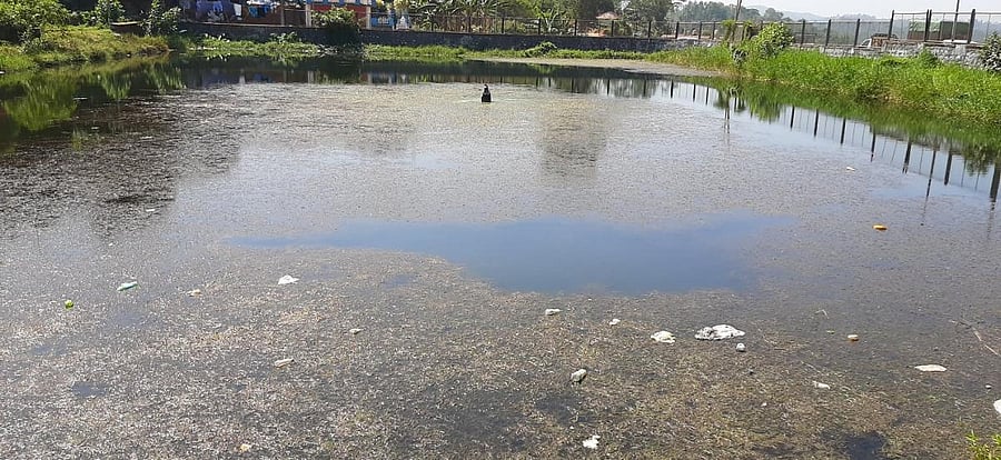 Gowri kere lake in Virajpet.
