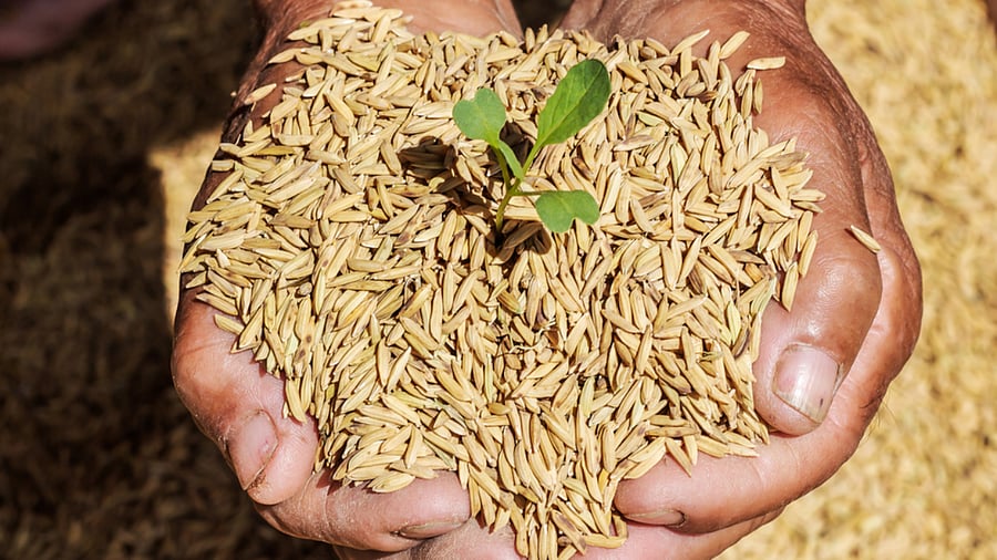 Representative image: iStock Photo