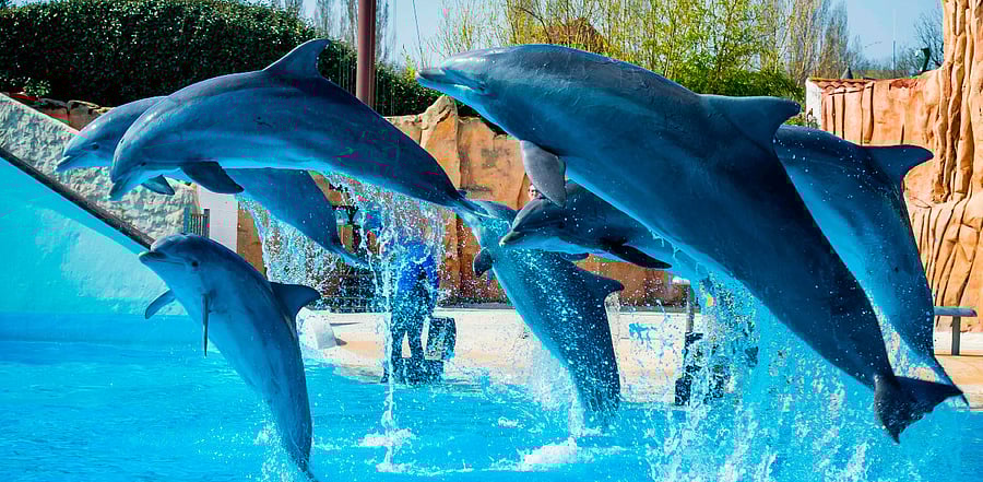 Representative image. Credit: iStockPhoto