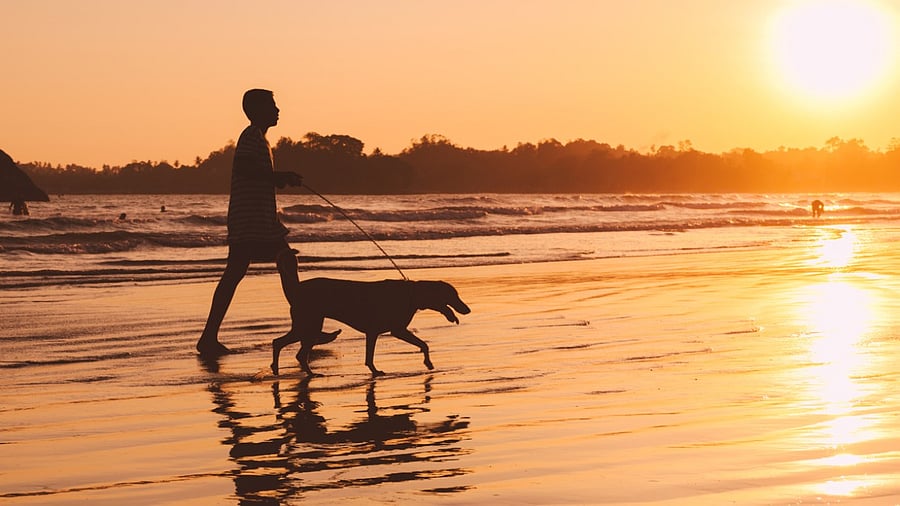 Representative Image. Credit: iStock Photo