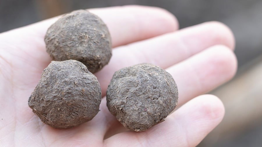 Representative Image. Credit: iStock Photo