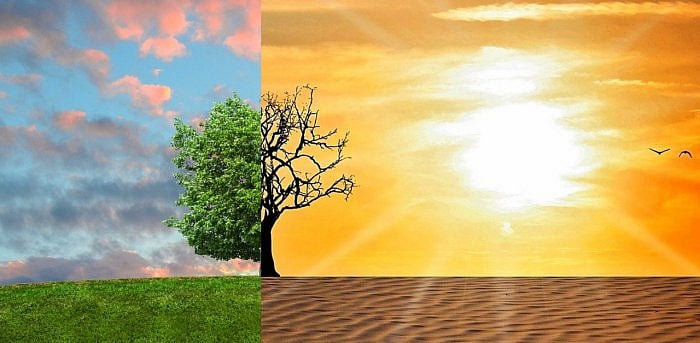 Representative image/Credit: Pixabay Image