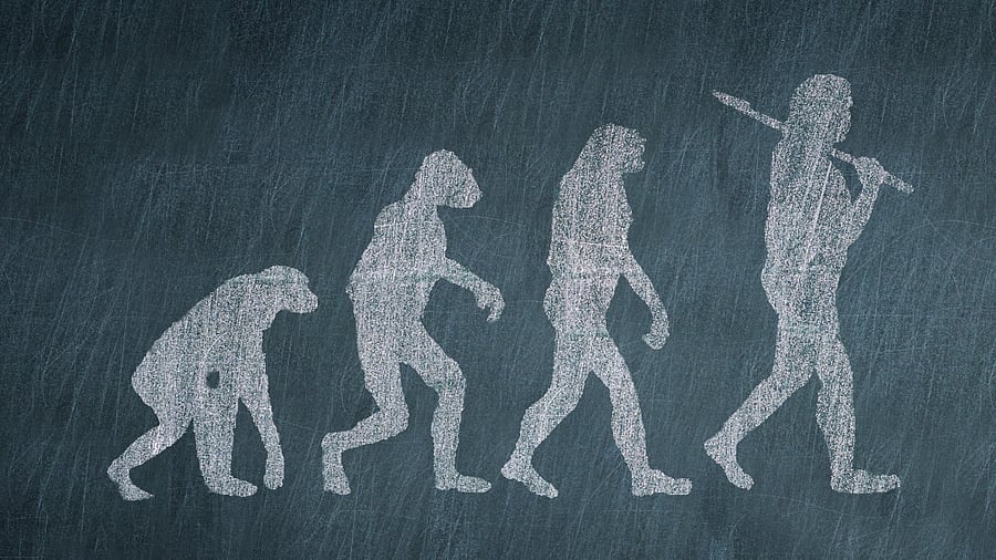 Representative image. Credit: iStock.