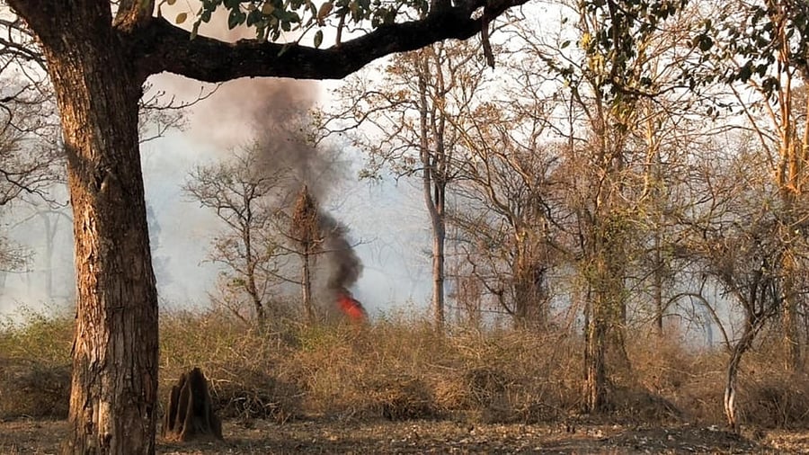 Thick smoke bellows out from the forest due to wildfire in Antharasanthe range, Nagarahole Tiger Reserve limits in HD Kote taluk of Mysuru district, on Wednesday. Credit: DH Photo