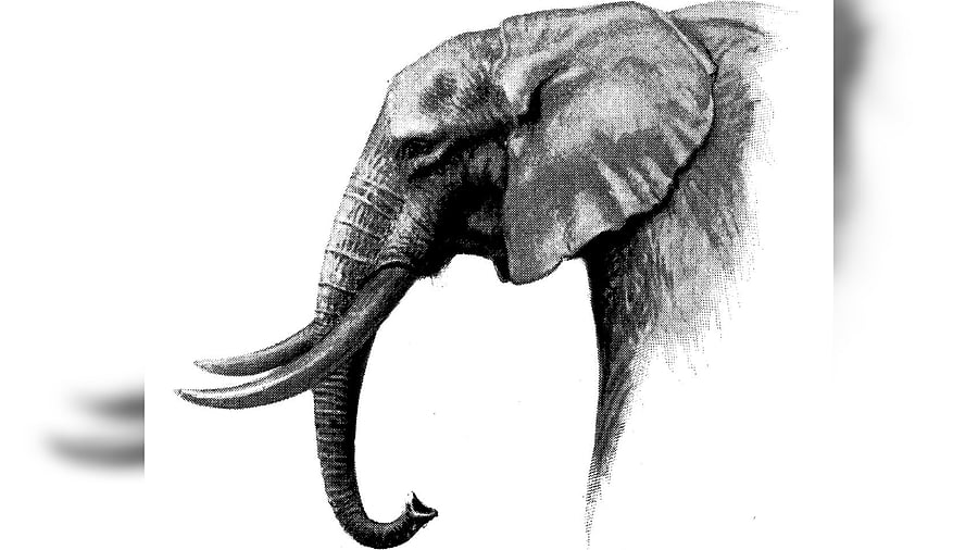 Representative image/Credit: iStock images