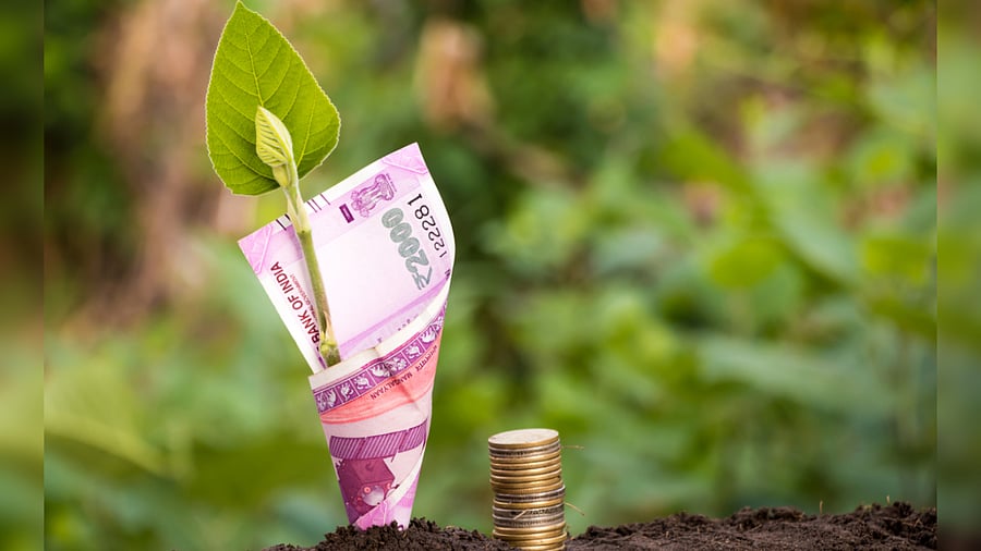 Representative image/Credit: iStock images