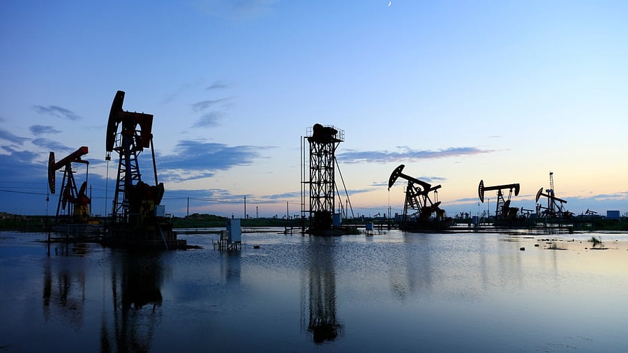 Representative Image. Credit: iStock Photo