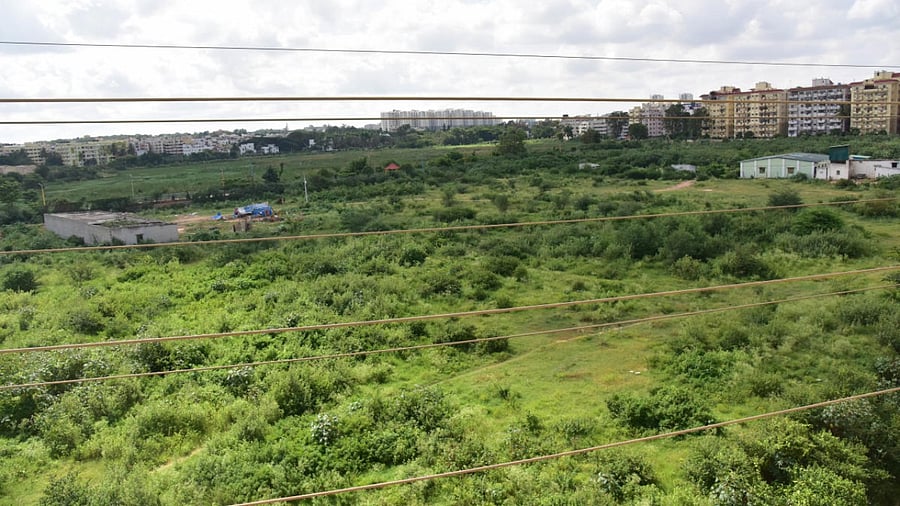 Kaggadasapura Lake in CV Raman Nagar, Bengaluru. Credit: DH photo/B H Shiakumar.
