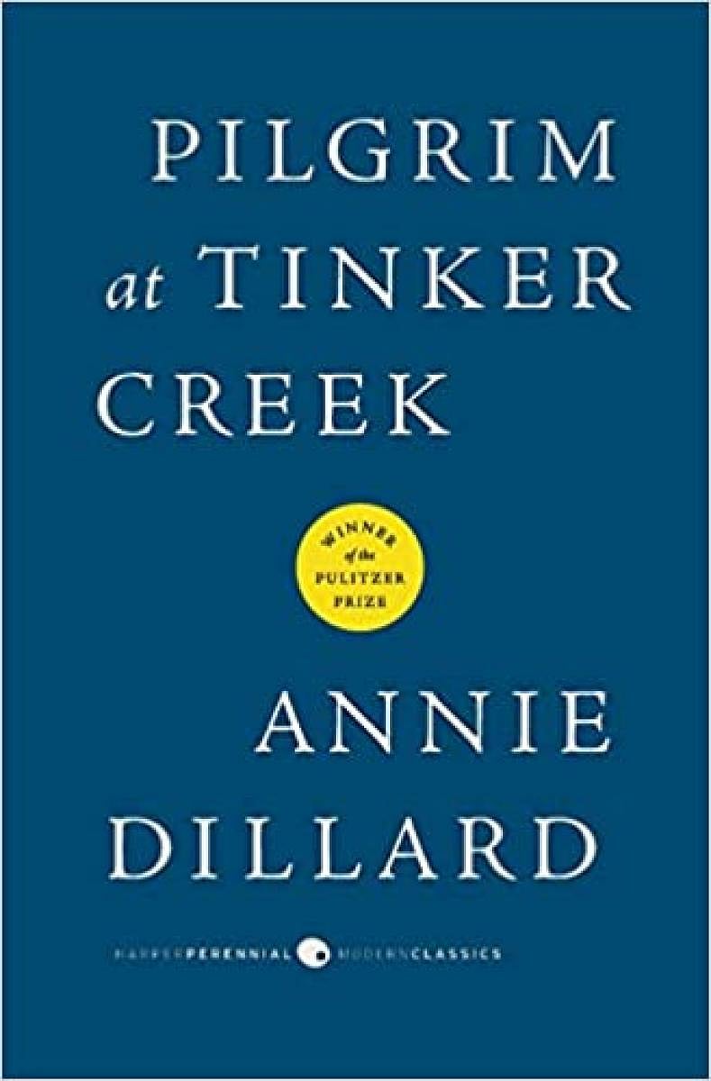 Pilgrim At Tinker Creek