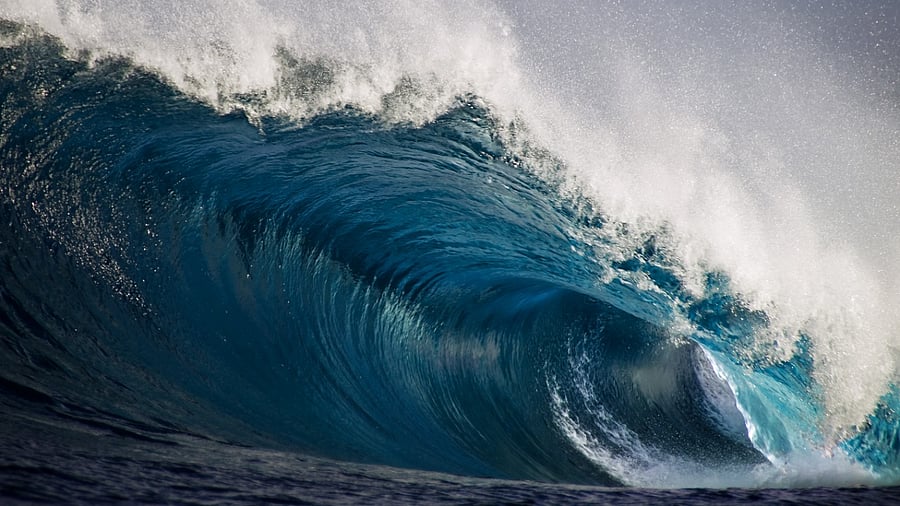 Representative image. Credit: iStock.