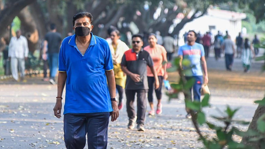 Lalbagh is open from 8.30 am to 7 pm during which visitors pay the Rs 30 entry fee. Some regular walkers and joggers are exempted from the fee from 6 am to 9 am and between 4 pm and 7 pm. Credit: DH File Photo
