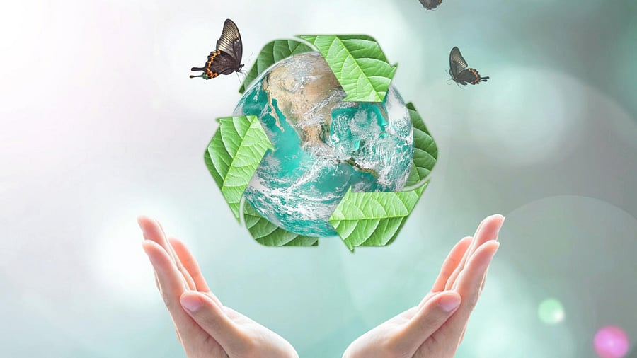 Representative Image. Credit: Shutterstock