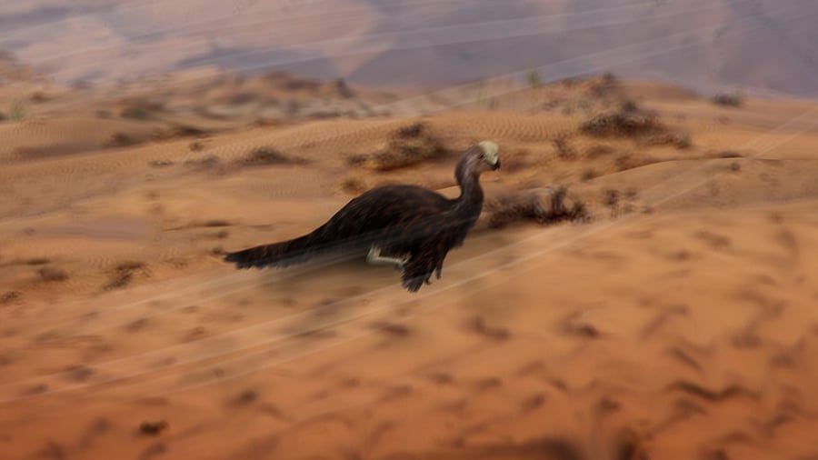 Representative image. Credit: Wikimedia commons.