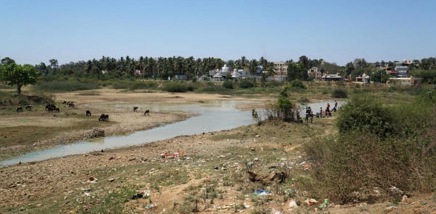 A shrunken Halanayakanahalli lake in Doddakannelli. Credit: DH Photo