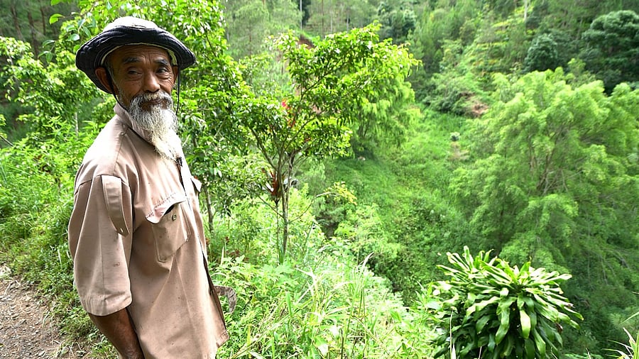 Sadiman, a 69-year-old ecowarrior, stands near a hill which is the first area he replanted with trees 20 years ago. Credit: Reuters