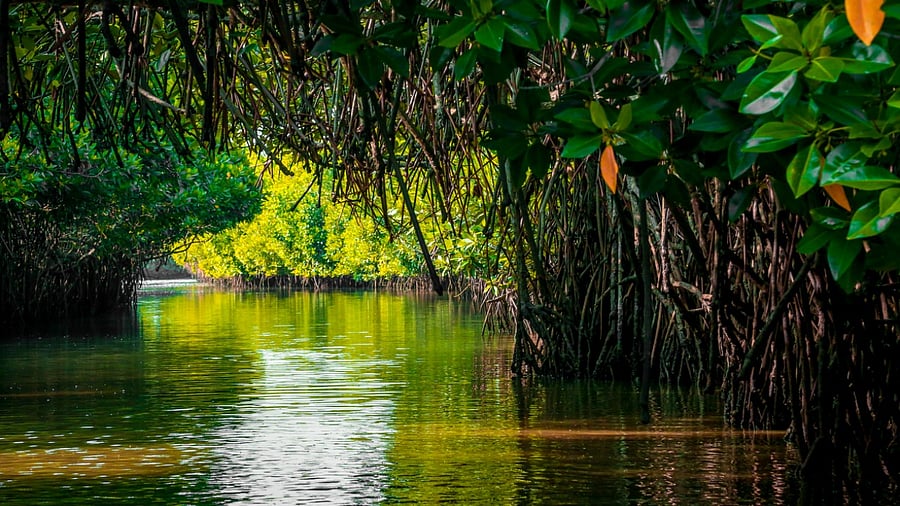 Representative Image. Credit: iStock Photo