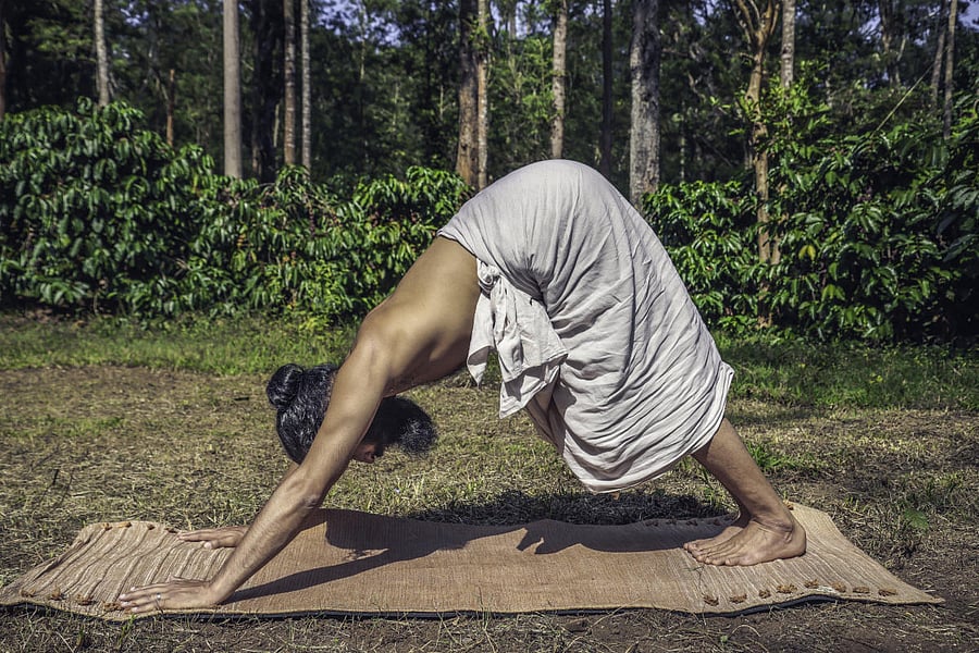 Adomukhi Svanasana