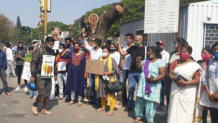 Citizens and green activists staged a protest at the Suranjan Das Road junction on Sunday. Credit: DH Photo