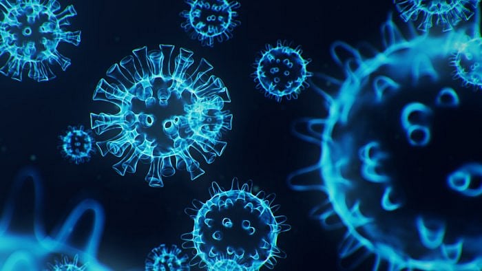 Representative Image. Credit: iStock Photo