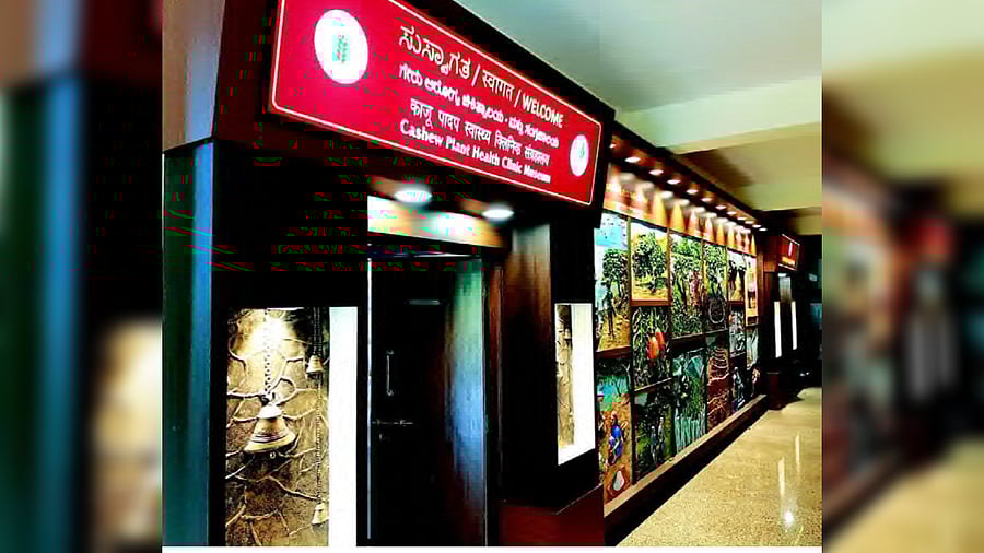 Mural paintings in plant health clinic museum on cashew at the Directorate of Cashew Research in Puttur. DH Photo