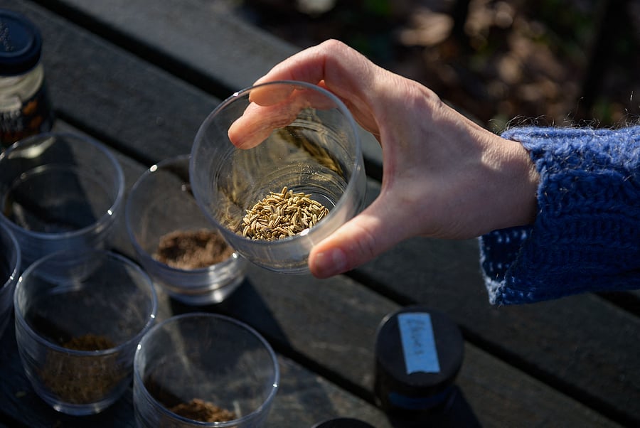 Lasting anosmia is a poorly understood disorder that has become an underestimated consequence of the pandemic. Credit: AFP Photo