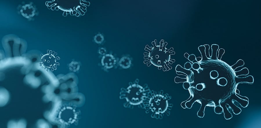 Children in many cases may also be spreaders among family members. Credit: Pixabay Photo