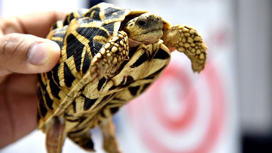 Representative Image. Credit: Reuters File Photo