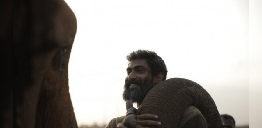 Rana Daggubati in 'Haathi Mere Saathi'. Credit: Twitter/@ErosNow