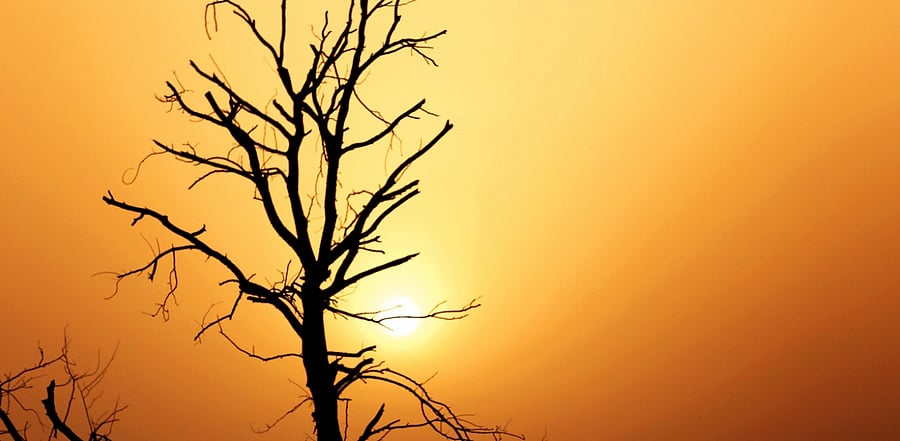 Representative image. Credit: iStock Photo 
