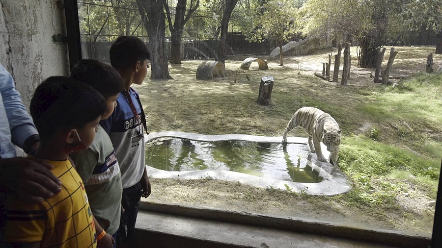 Visitors at Delhi Zo after its reopening on Thursday. Credit: PTI Photo