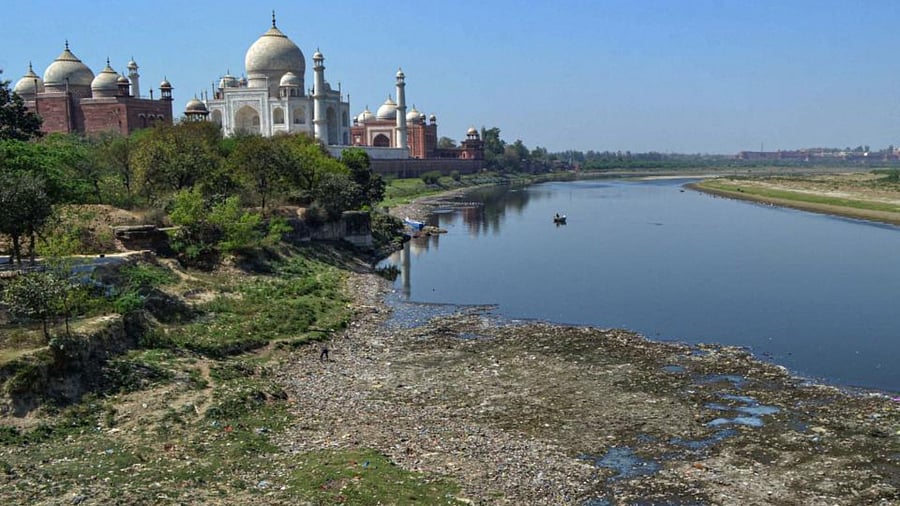 Yamuna River. Credit: PTI Photo