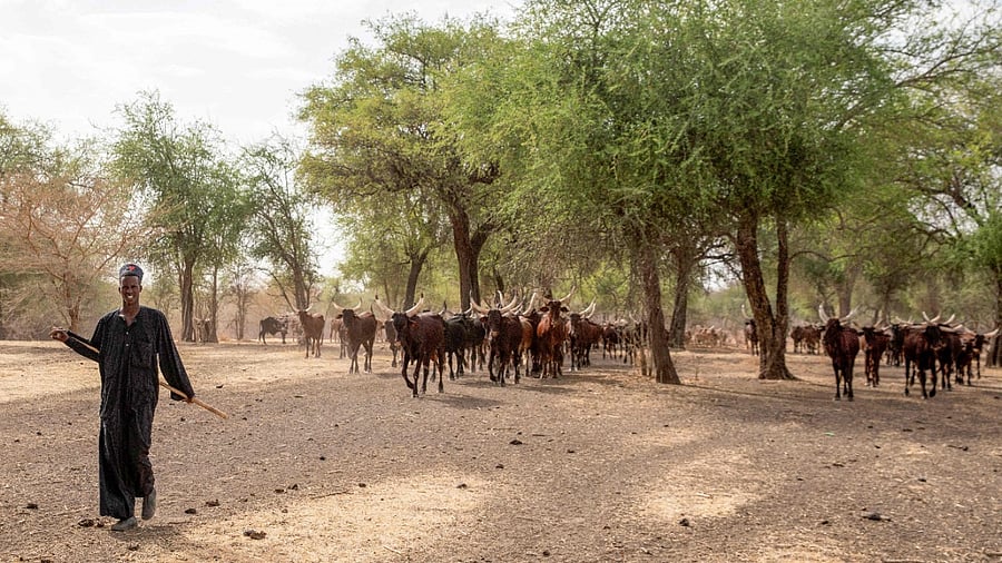 Representative Image. credit: AFP Photo
