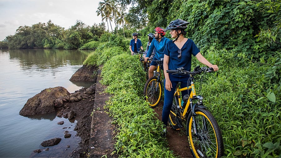 A BLive tour on electric bicycles. Credit: Special Arrangement