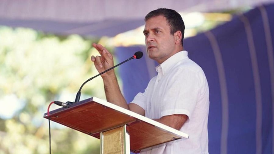 Congress leader Rahul Gandhi. Credit: PTI Photo