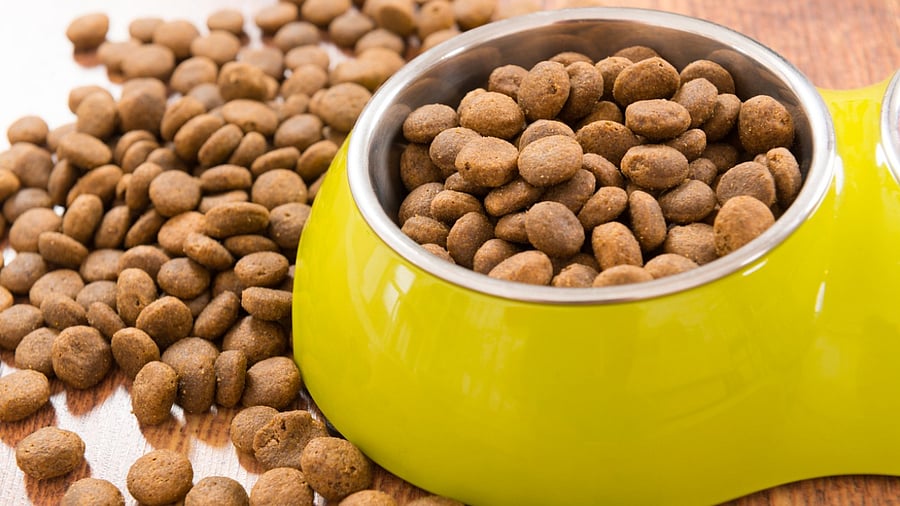 Representative Image. Credit: iStock Photo