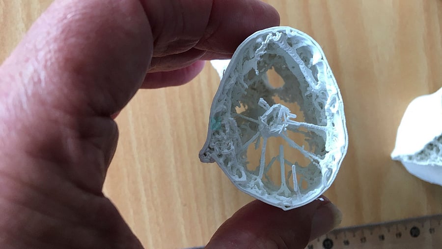 This undated handout photo received April 14, 2021 shows a pterosaur vertebra showing the bicycle wheel-like spoke arrangement. Credit: Handout / University of Portsmouth / AFP photo