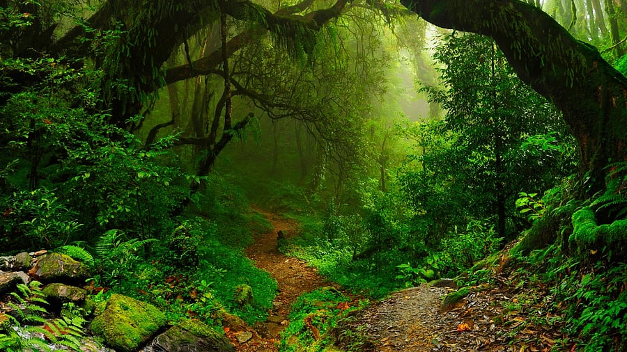 Representative image. Credit: iStock photo