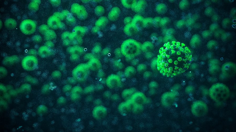 Representative image. Credit: iStock photo