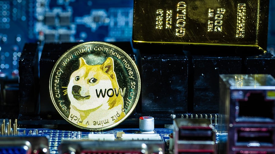 Representative Image. Credit: iStock Photo