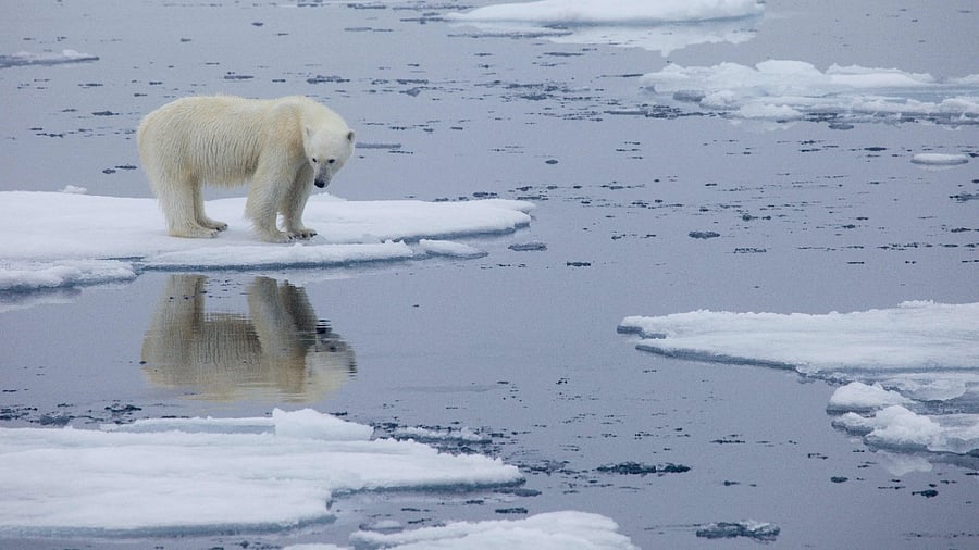 Representative image. Credit: AFP file photo