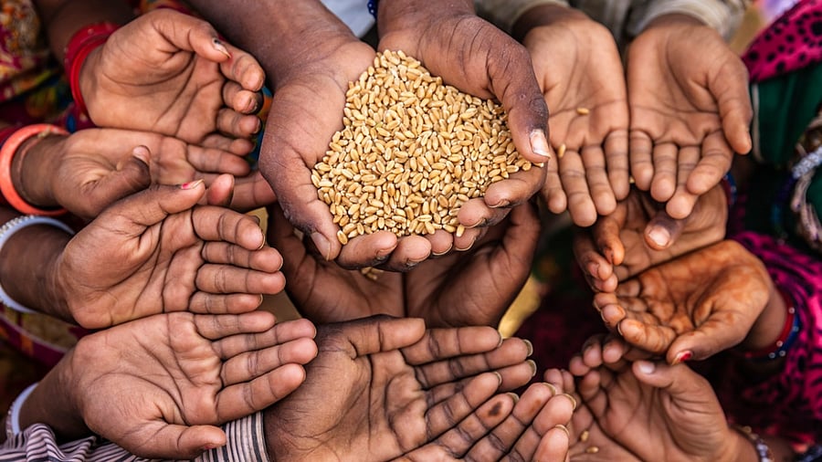 Representative image. Credit: iStock Photo 