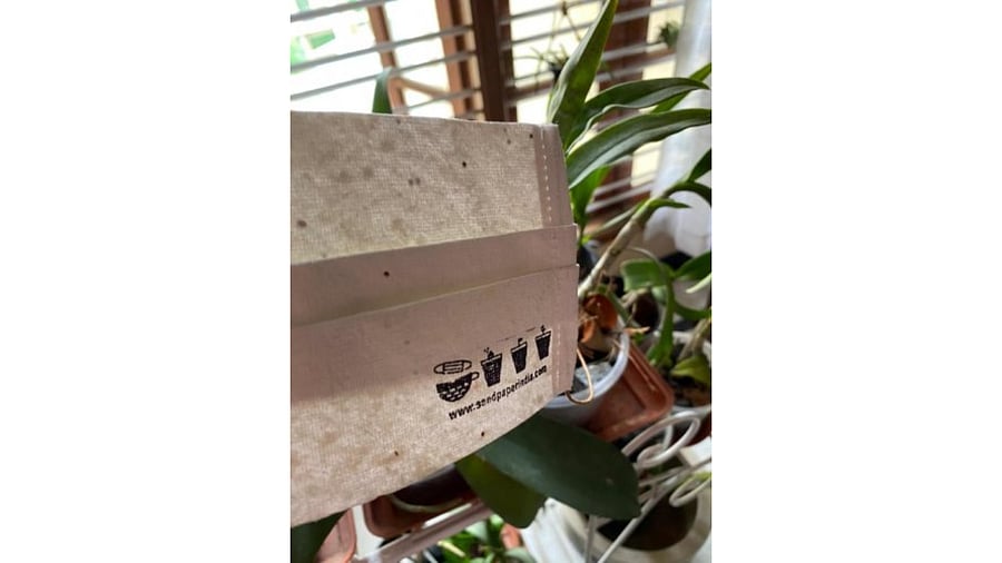 Here’s how the masks turn into seedlings: After use, they are to be buried in a large pot with good-quality, fertile soil. Credit: DH photo.