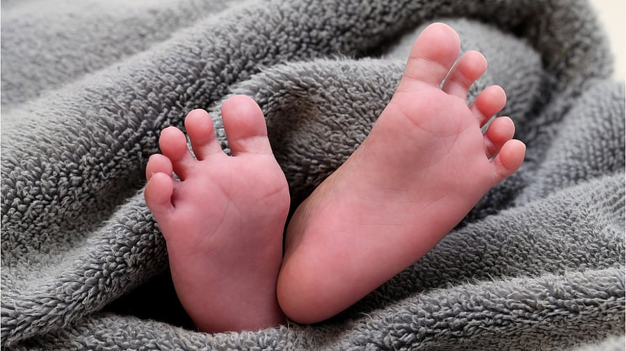 Representative Image. Credit: iStock Photo